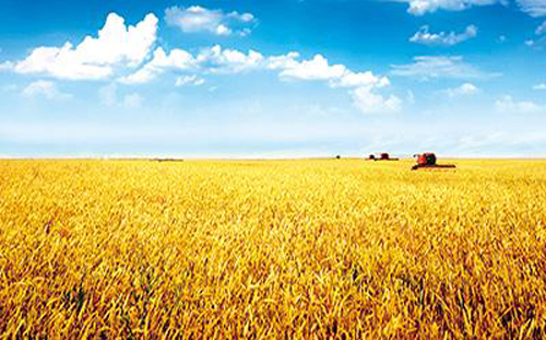 农业公司_农产品网站建设解决方案